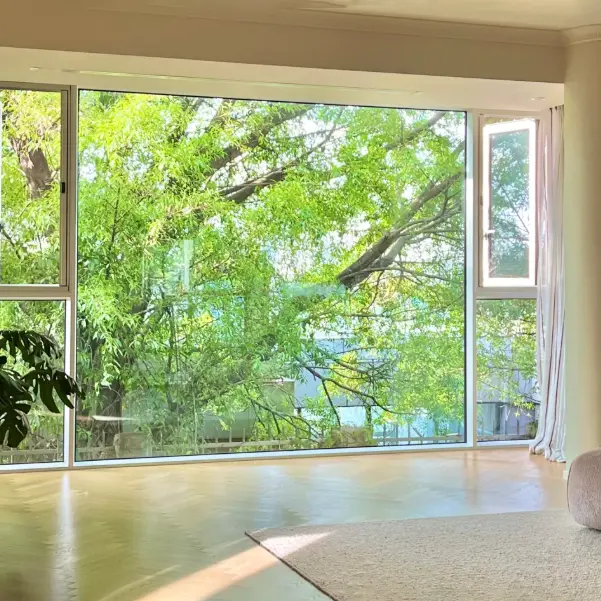 Alumiiniumisulamist maast laeni aknad